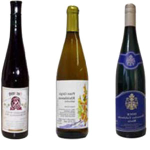 Entry Level Wines